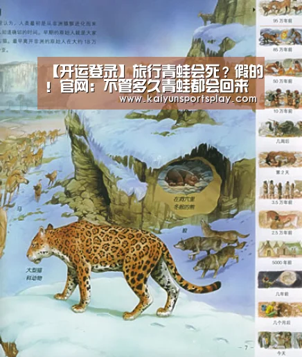 开运登录