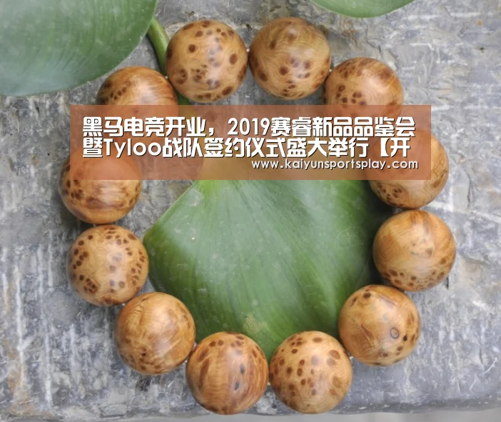 黑马电竞开业,2019赛睿新品品鉴会暨Tyloo战队签约仪式盛大举行【开运登录】(图2) 开运电竞