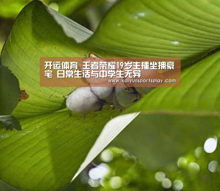 开运体育_王者荣耀19岁主播坐拥豪宅 日常生活与中学生无异(图1) 开运电竞